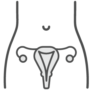 Women's health ovarian scan icon